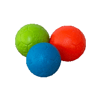 Jp Soccer Ball Sticker by Jolly Pets