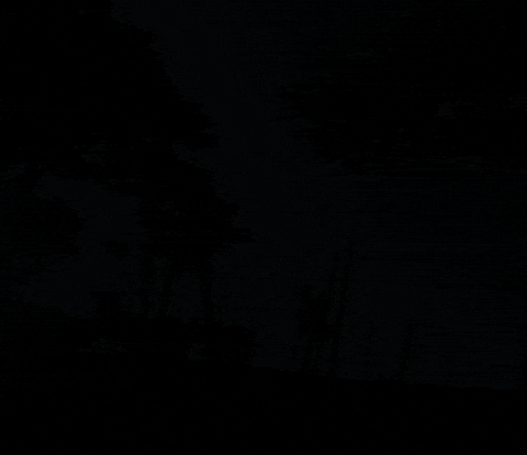 Funny Deer GIF by Wondeerful farm