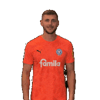 2 Bundesliga Football Sticker by Holstein Kiel