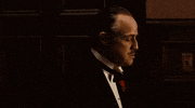 movie marlon brando the godfather francis ford coppola vito corleone GIF