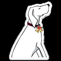 tuckerdukes  GIF