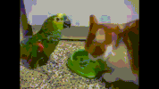 frank GIF
