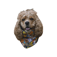 Animal Crossing Sticker by Geekster Pets