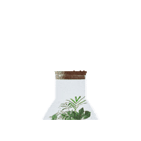 Greenbubbleschweiz greenbubble kleinesuniversum tinyuniverse flaschengarten Sticker