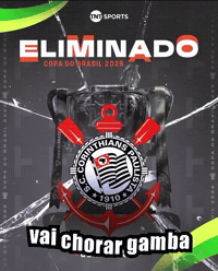 Copa Do Brasil Futebol GIF