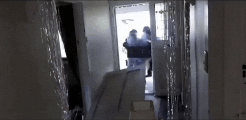 giphy.gif