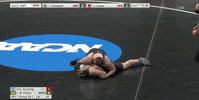 Wrestling Michigan GIF by NCAA Championships