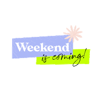 Summer Wednesday Sticker