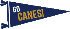 Americus Ga Storm Sticker by Georgia Southwestern State University