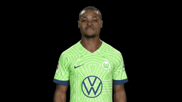 Lets Go Bundesliga GIF by VfL Wolfsburg