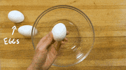art eating GIF by PBS Digital Studios