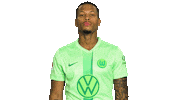 Happy Football Sticker by VfL Wolfsburg
