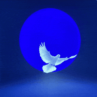 Album Kanye GIF