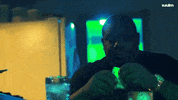 vuulm money busy mula counting money GIF