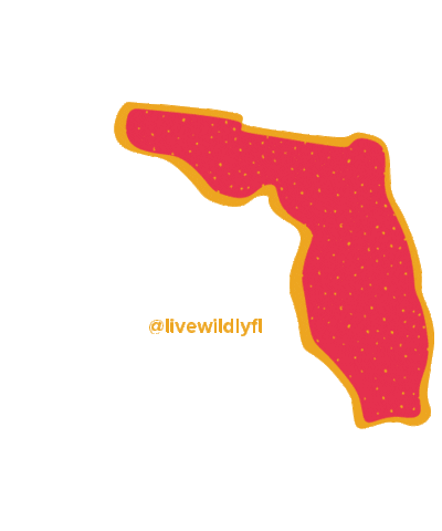 LiveWildlyFL florida wild fl live wildly Sticker