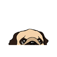 Dog Pug Sticker