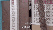 Bb24 GIF by Big Brother