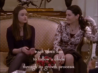 season 1 netflix GIF by Gilmore Girls 