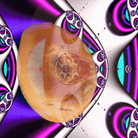 bagelwagel trippy bagel bagels bagelnet GIF