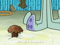 season 8 episode 3 GIF by SpongeBob SquarePants