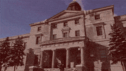 Mcgillu GIF by McGill University