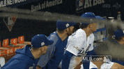 mlb postseason GIF by MLB