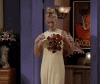 Season 3 Friends Tv Show GIF by Friends