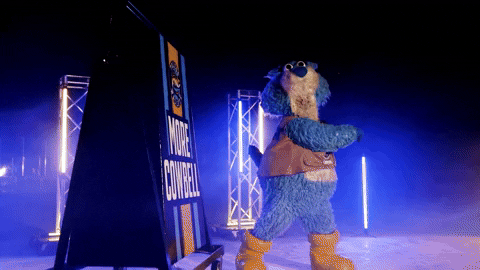GIF by Toledo Walleye