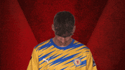 Eintracht Braunschweig Ebs GIF by Bundesliga