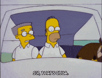 homer simpson episode 20 GIF