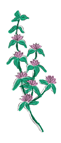 yerbaverdeflor flower flowers argentina flores Sticker