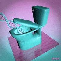 3d fox adhd GIF by Nadrient