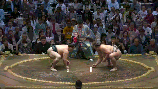 TZ85 giphyupload GIF