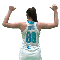 Dautovic Sticker by Basketball Federation of Slovenia