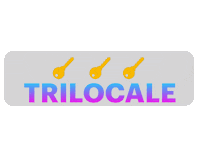 Realestate Immobiliare Sticker by 4Real Studio