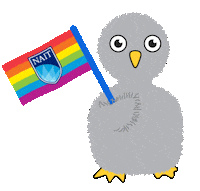 pride week rainbow Sticker by NAIT