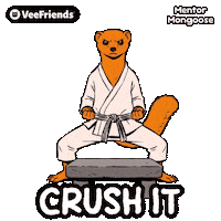 Motivation Crush It Sticker by VeeFriends