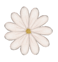 Daisy Sticker