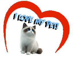 Guinea Pig Love Sticker