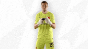 Football Rage GIF by SK Slavia Praha
