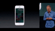 GIF by Mashable
