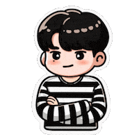 Wink Leejunyoung Sticker