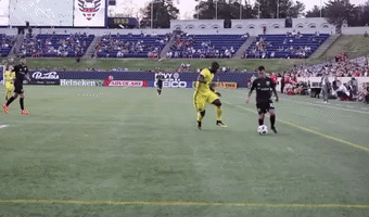 soccer mls GIF by D.C. United