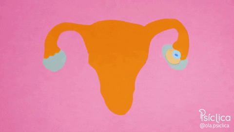 psiclica giphyupload ovulation ovulacion olapsiclica GIF