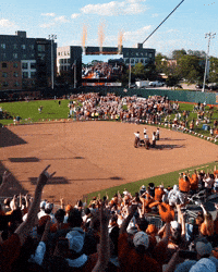 Softball GIF by Texas Longhorns