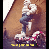 Gökhan Abi GIF