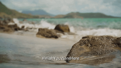 Miss You Travel GIF by Celebrity Cruises Gifs