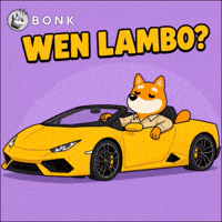 Crypto Gm GIF by BONK