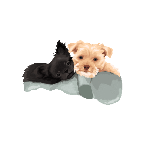 Dogs Sticker by Pickle's Pawtraits