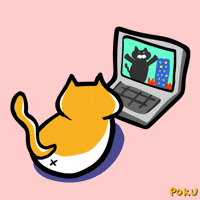 Cat Netflix GIF by Poku Meow Meow Meow